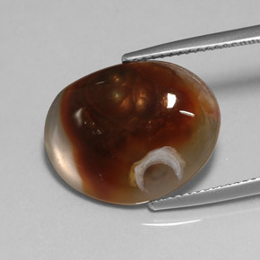 8.25캐럿 천연 멀티컬러 파이어 아게이트, 투명한, 18.1×14.1 mm, 투명/반투명
