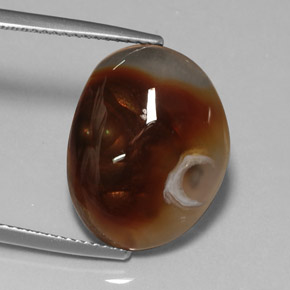 8.25캐럿 천연 멀티컬러 파이어 아게이트, 투명한, 18.1×14.1 mm, 투명/반투명
