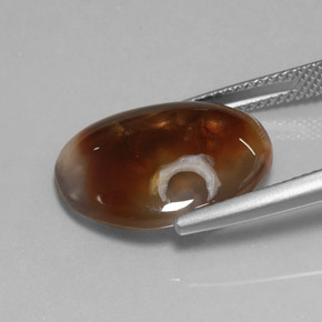 8.25캐럿 천연 멀티컬러 파이어 아게이트, 투명한, 18.1×14.1 mm, 투명/반투명