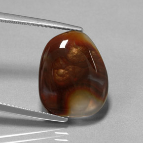8.09캐럿 천연 멀티컬러 파이어 아게이트, 투명한, 17.6×14.2 mm, 투명/반투명