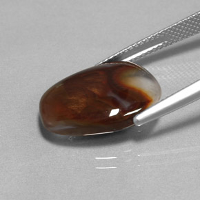 8.09캐럿 천연 멀티컬러 파이어 아게이트, 투명한, 17.6×14.2 mm, 투명/반투명