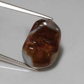 7.02캐럿 천연 멀티컬러 파이어 아게이트, 투명한, 17.6×12.2 mm, 투명/반투명