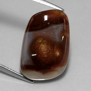10.11캐럿 천연 멀티컬러 파이어 아게이트, 투명한, 18.8×12.4 mm, 투명/반투명