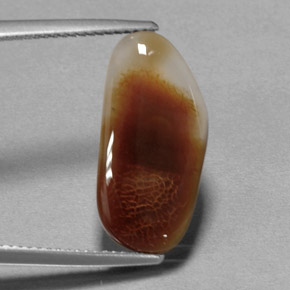 6.66캐럿 천연 멀티컬러 파이어 아게이트, 투명한, 19.7×9.6 mm, 투명/반투명