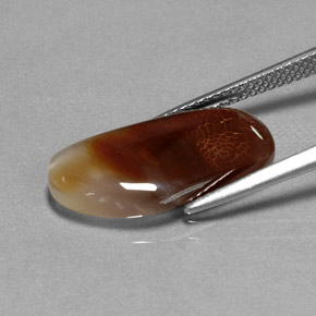 6.66캐럿 천연 멀티컬러 파이어 아게이트, 투명한, 19.7×9.6 mm, 투명/반투명