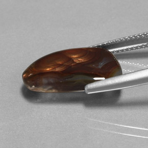 5.78캐럿 천연 멀티컬러 파이어 아게이트, 투명한, 16.9×11.7 mm, 투명/반투명