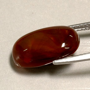4.95캐럿 천연 멀티컬러 파이어 아게이트, 투명한, 15.3×10.1 mm, 투명/반투명