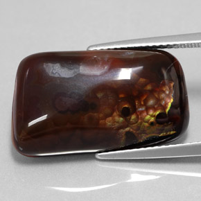 15.26캐럿 천연 멀티컬러 파이어 아게이트, 멋진 모양, 21.6×12.7 mm, 불투명체