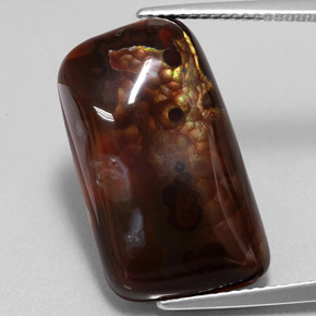 15.26캐럿 천연 멀티컬러 파이어 아게이트, 멋진 모양, 21.6×12.7 mm, 불투명체
