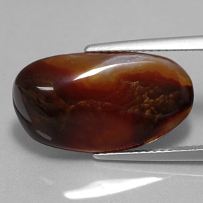 8.52캐럿 천연 멀티컬러 파이어 아게이트, 멋진 모양, 20.1×11.4 mm, 불투명체
