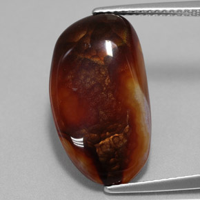 8.52캐럿 천연 멀티컬러 파이어 아게이트, 멋진 모양, 20.1×11.4 mm, 불투명체