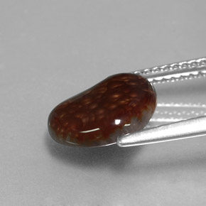 2.22캐럿 천연 멀티컬러 파이어 아게이트, 멋진 모양, 10.7×9.4 mm, 불투명체