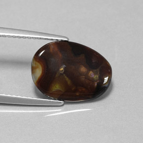 3.13캐럿 천연 멀티컬러 파이어 아게이트, 멋진 모양, 13.7×10.2 mm, 불투명체