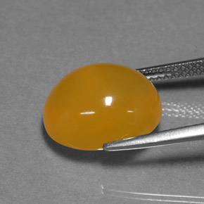 6.94캐럿 천연 옐로우 오렌지 파이어 오팔, 타원형 컷, 투명한
