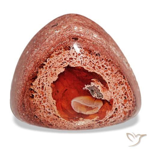 14.63캐럿 천연 멀티컬러 파이어 오팔, 트릴리언, 19.3×17.3 mm, 불투명체