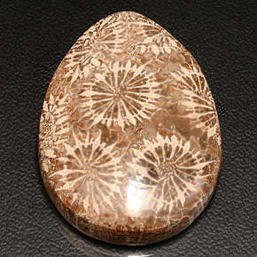 42.11캐럿 천연 멀티컬러 화석 산호, 배 모양, 34.4×25 mm, 불투명체