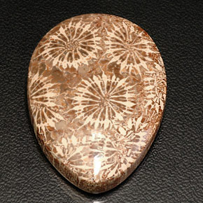 42.11캐럿 천연 멀티컬러 화석 산호, 배 모양, 34.4×25 mm, 불투명체
