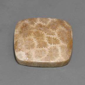 45.27캐럿 천연 멀티컬러 화석 산호, 쿠션 컷, 30.6×29.4 mm, 불투명체