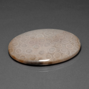 93.67캐럿 천연 멀티컬러 화석 산호, 타원형 컷, 49.2×37.7 mm, 불투명체