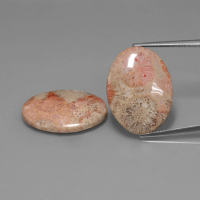 캐럿 천연 멀티컬러 화석 산호 보석, 타원형 컷, 24.2×18 mm, 불투명체