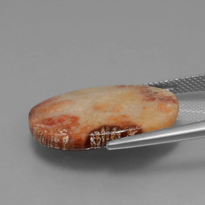 15.17캐럿 천연 다색 화석 산호, 타원형 컷, 불투명체