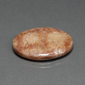 14.77캐럿 천연 멀티컬러 화석 산호, 타원형 컷, 24.7×18.6 mm, 불투명체