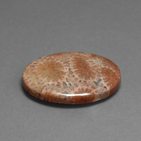 16.75캐럿 천연 다색 화석 산호, 타원형 컷, 불투명체