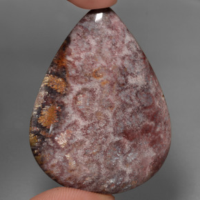 65.56캐럿 천연 멀티컬러 화석 산호, 배 모양, 46.5×33.7 mm, 불투명체