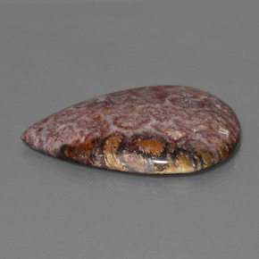 65.56캐럿 천연 멀티컬러 화석 산호, 배 모양, 46.5×33.7 mm, 불투명체