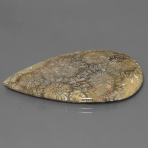 70.58캐럿 천연 다색 화석 산호, 배 모양, 불투명체