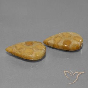 22.90캐럿 천연 다색 화석 산호 보석, 배 모양, 불투명체