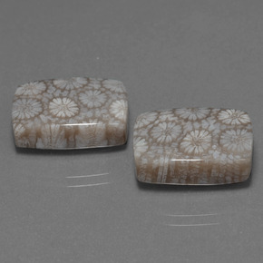 캐럿 천연 다색 화석 산호 보석, 쿠션 컷, 불투명체