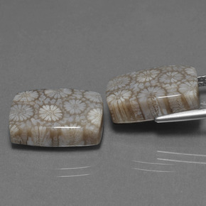 캐럿 천연 다색 화석 산호 보석, 쿠션 컷, 불투명체