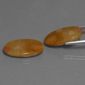 캐럿 천연 다색 화석 산호 보석, 타원형 컷, 투명한