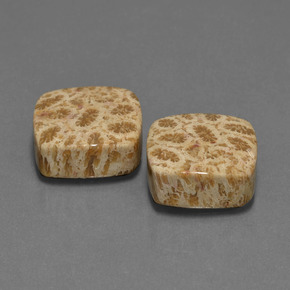 캐럿 천연 다색 화석 산호 보석, 쿠션 컷, 불투명체