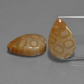 캐럿 천연 다색 화석 산호 보석, 배 모양, 불투명체