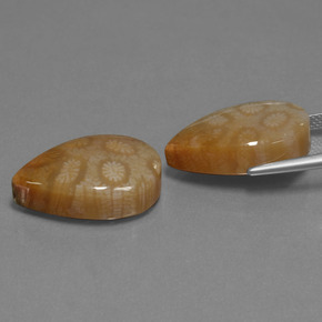 캐럿 천연 다색 화석 산호 보석, 배 모양, 불투명체