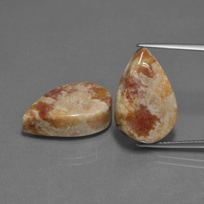 캐럿 천연 멀티컬러 화석 산호 보석, 배 모양, 불투명체