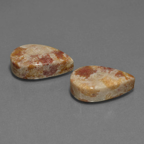 캐럿 천연 멀티컬러 화석 산호 보석, 배 모양, 불투명체