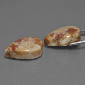 캐럿 천연 멀티컬러 화석 산호 보석, 배 모양, 불투명체