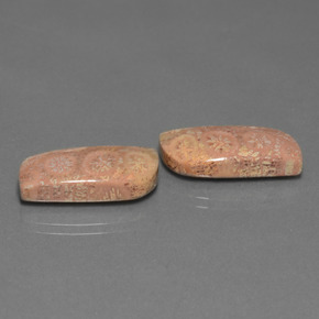 캐럿 천연 다색 화석 산호 보석, 멋진 모양, 불투명체