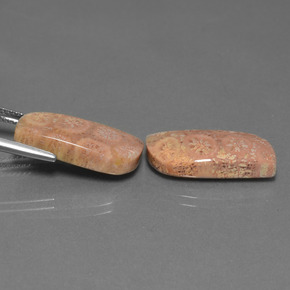 캐럿 천연 다색 화석 산호 보석, 멋진 모양, 불투명체