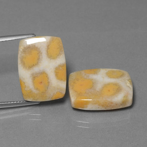 캐럿 천연 다색 화석 산호 보석, 쿠션 컷, 불투명체