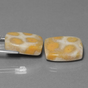 캐럿 천연 다색 화석 산호 보석, 쿠션 컷, 불투명체