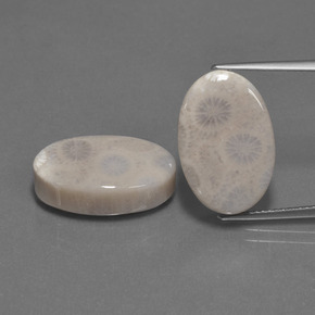 캐럿 천연 다색 화석 산호 보석, 타원형 컷, 불투명체