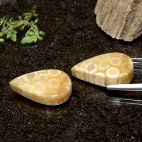 28.50캐럿 천연 다색 화석 산호 보석, 배 모양, 불투명체