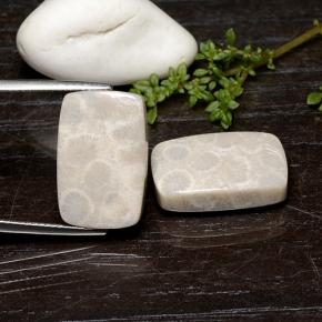 25.59캐럿 천연 다색 화석 산호 보석, 쿠션 컷, 불투명체