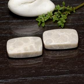 25.59캐럿 천연 다색 화석 산호 보석, 쿠션 컷, 불투명체