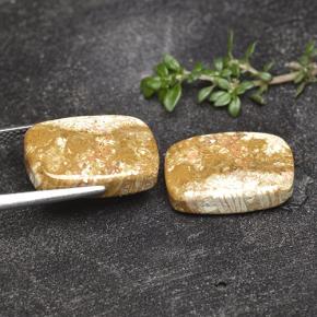 16.41캐럿 천연 다색 화석 산호 보석, 쿠션 컷, 불투명체