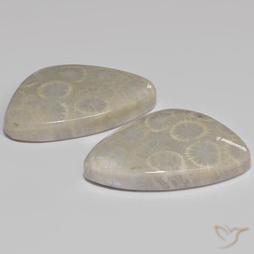 27.77캐럿 천연 다색 화석 산호 보석, 멋진 모양, 불투명체